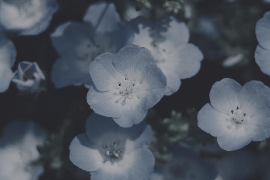 ❝ Perhaps the Gods are truly no wiser than those who crawl in the dirt . ❞
